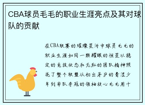 CBA球员毛毛的职业生涯亮点及其对球队的贡献